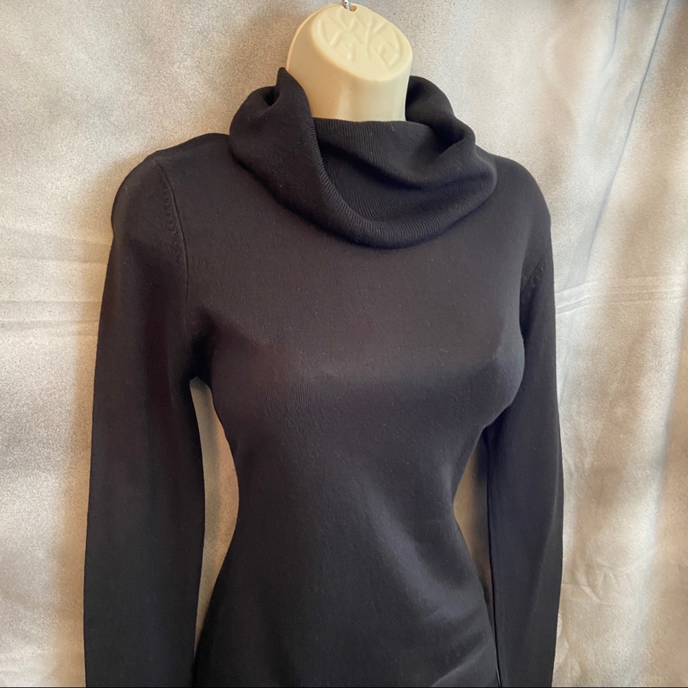 The Cowls Have It! Amanda Smith Turtleneck Sweater